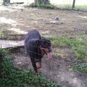 Meet your Posher, Billy